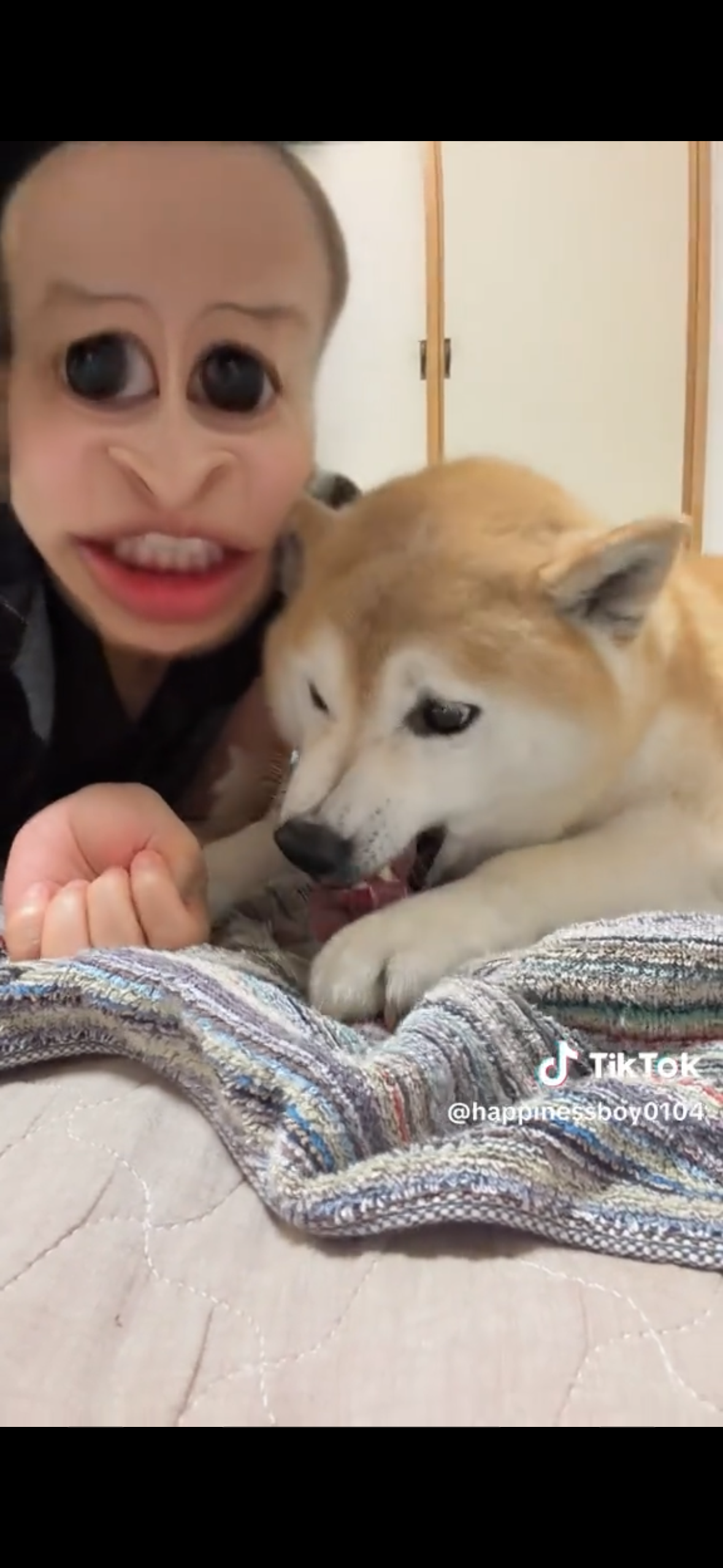 柴犬くん☆骨 YouTube