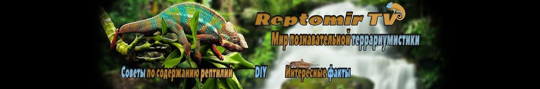 ReptoMirTV YouTube channel avatar
