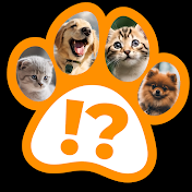 Cats🐱 & Dogs🐶 - Spot the Difference Quiz