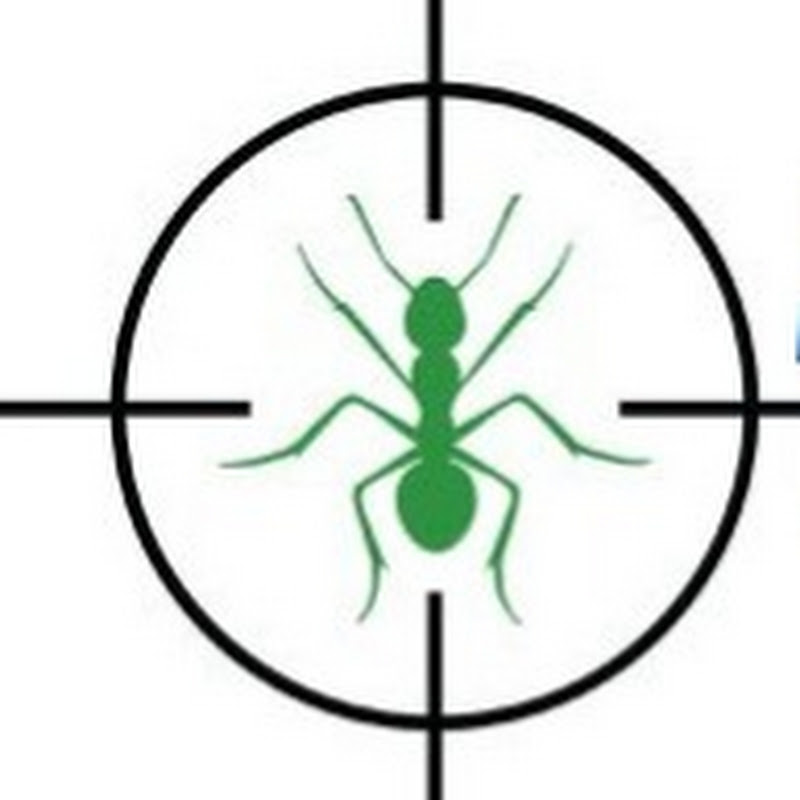 STARTELL PEST SOLUTIONS