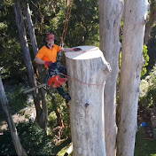 Tree Climber Harry