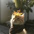 meGizSN2HrE-channel-avatar-Cloudy Star