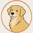 LdoP1BzSpPE-channel-avatar-PawMind