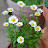 @금식하면행복하다