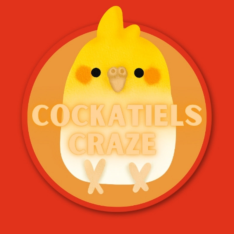 Cockatiels Craze