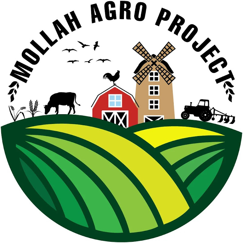Mollah Agro Project