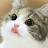 @냥냥이-l8d