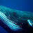 @bluewhale1