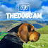 3Ian5rdtFbM-channel-avatar-TheDogCam