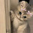 @shashikantpatel5857 Avatar
