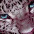OblMl8nAkHs-channel-avatar-Bellastar'_