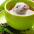 SIJLrUS-tjM-channel-avatar-enderjajawkkk :P