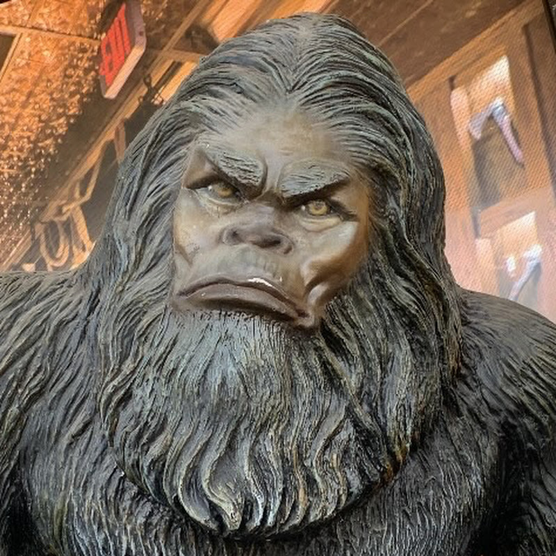 Salacious Sasquatch 