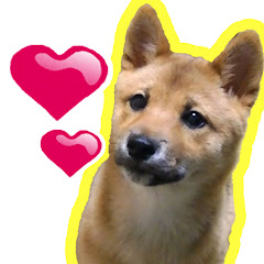 癒しをお届けする龍馬チャンネル
