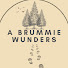 _0xDxQQxq1I-channel-avatar-A Brummie Wunders