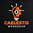 Caelestis Workshop