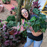 uoXyi7Nm63Q-channel-avatar-Quintal das Plantas