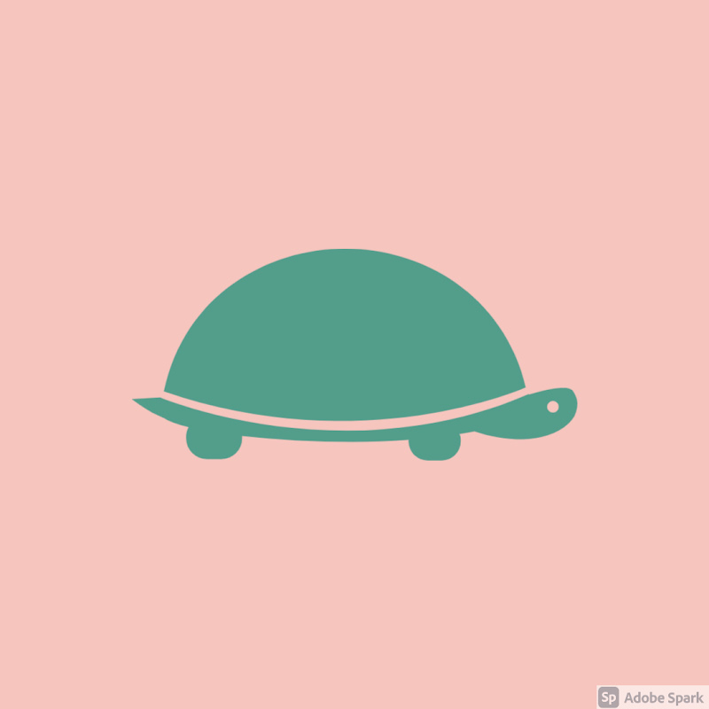 BoxTurtle