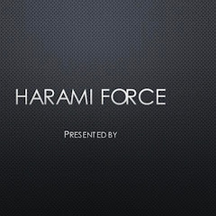 Логотип каналу Harami frndzzz