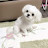 @안녕da-r7s