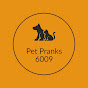 Pet Pranks 6009 logo