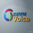 RZkXdfa96Mc-channel-avatar-Zunnu Voice