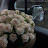 @shisho.shorouk912