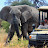 Wildlife Experience- Africa