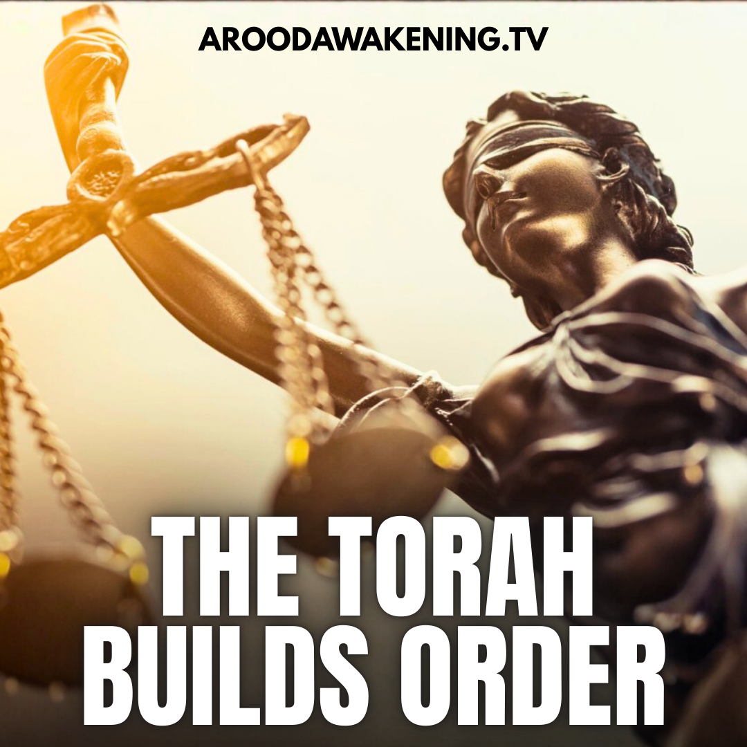 Post from A Rood Awakening!