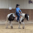 SbgYpDdHjQQ-channel-avatar-LM horse training