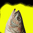 WwRhvIakiIo-channel-avatar-Skinny River