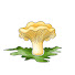 ii2Wz3-Qbsk-channel-avatar-The Mushroom Walk
