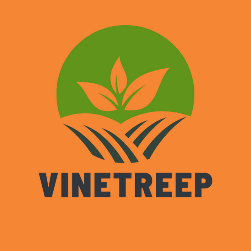 Vinetreep