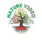 Nature Video 4k logo