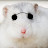 @큐티햄스터연맹