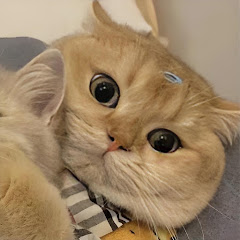 Puffkten089