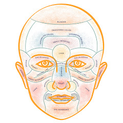 Dr. Todd | Why the Face