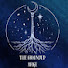 34iEYfqowTI-channel-avatar-The Grounded Mage