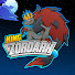 DcNG1fFYtls-channel-avatar-King Zoroark