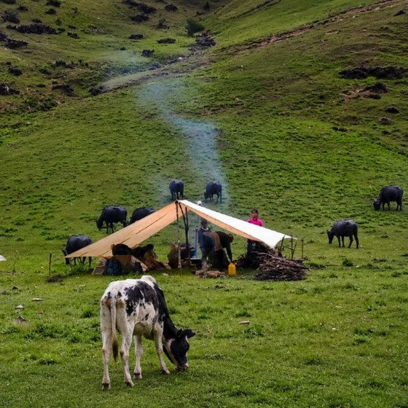 Rural Life Nepal