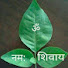 FCJQgFGsABk-channel-avatar-MeriBhakti Sadhana
