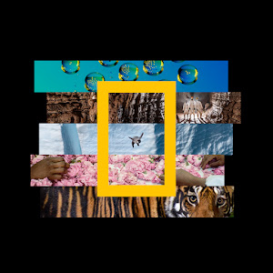 Nationalgeographic YouTube channel image