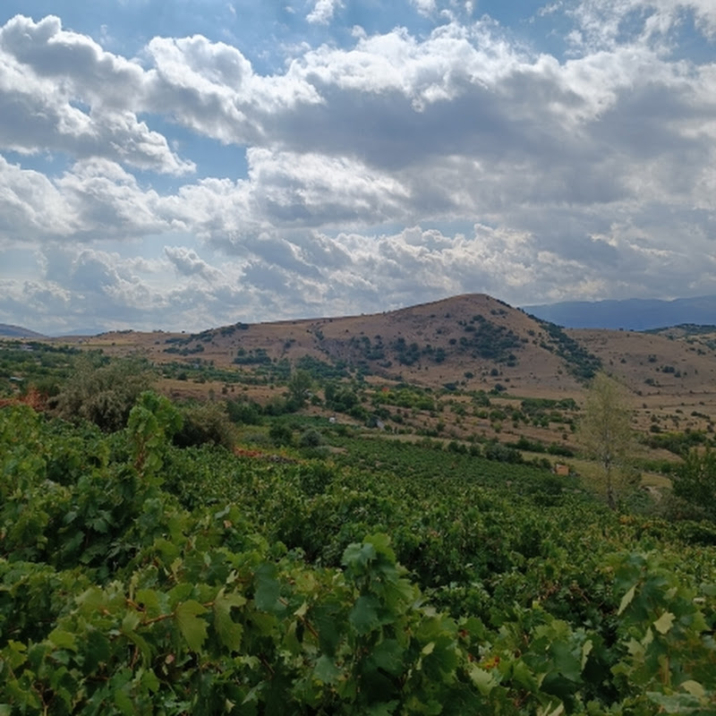 Yeryüzü Günlüğü 