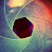 @abyrdziak's avatar
