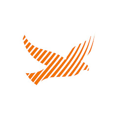 Rádio Shalom OFICIAL | Pe. Antonio Furtado net worth