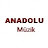 Anadolu Müzik Official