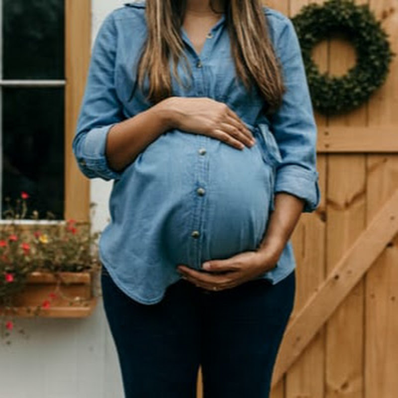 Natural Pregnancy Book