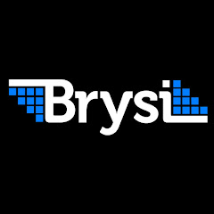 BrySi - Video Game Songs net worth