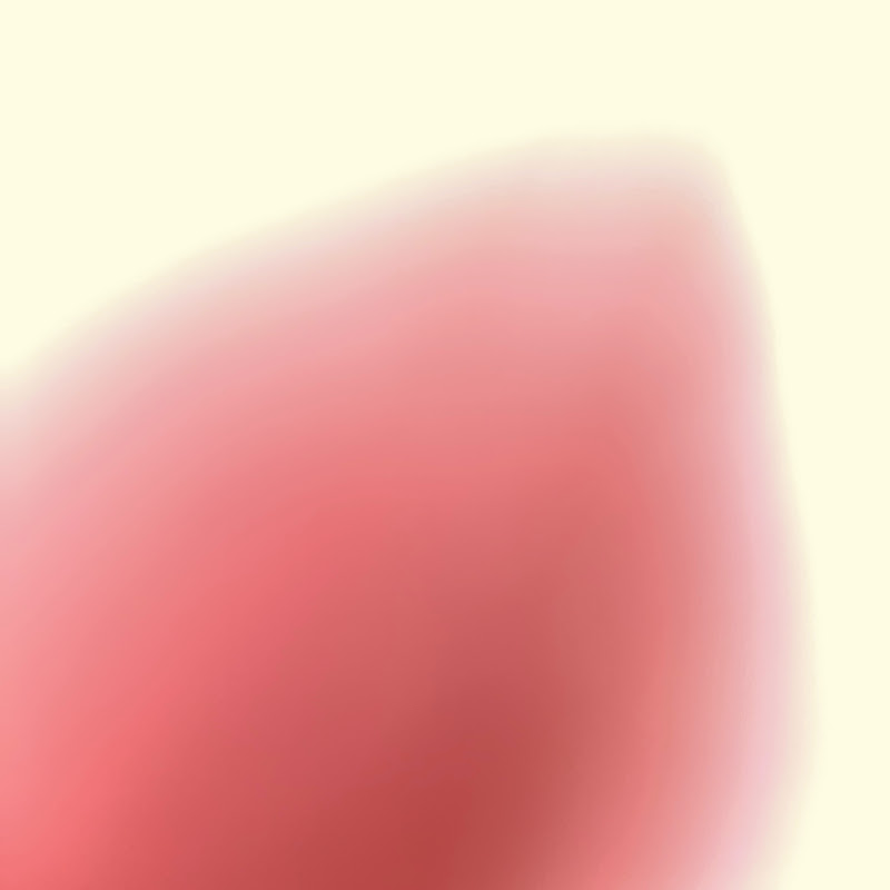 Vloger