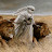 @yasin313mahdawi